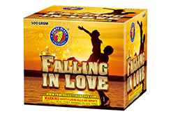 W55172 Falling in Love